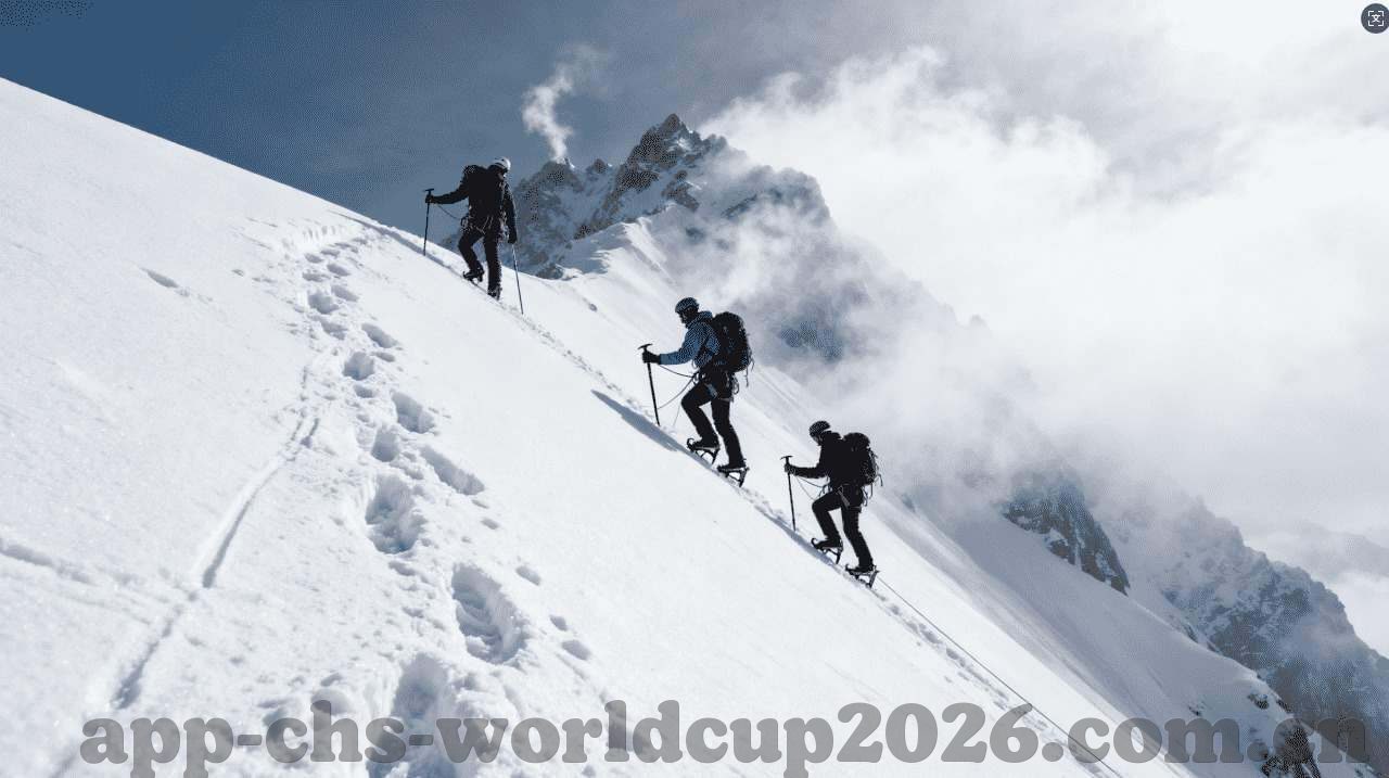 俄罗斯世界杯美国退出-美国缺席,俄罗斯世界杯的别样风景